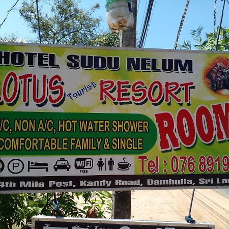 דמבולה Lotus Inn Tourist Resort מראה חיצוני תמונה