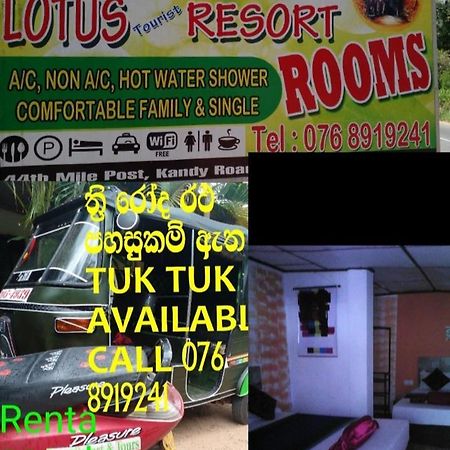 דמבולה Lotus Inn Tourist Resort מראה חיצוני תמונה