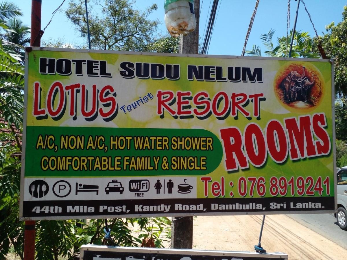 דמבולה Lotus Inn Tourist Resort מראה חיצוני תמונה