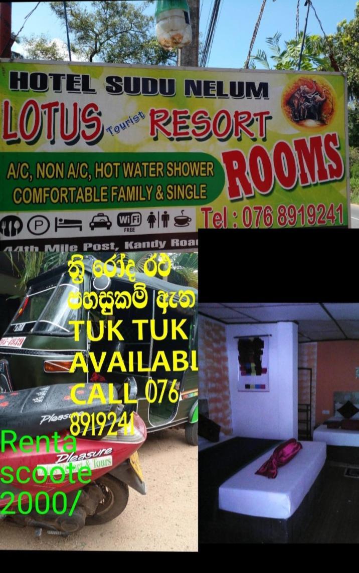 דמבולה Lotus Inn Tourist Resort מראה חיצוני תמונה