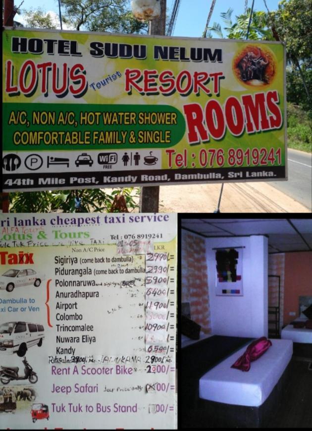 דמבולה Lotus Inn Tourist Resort מראה חיצוני תמונה