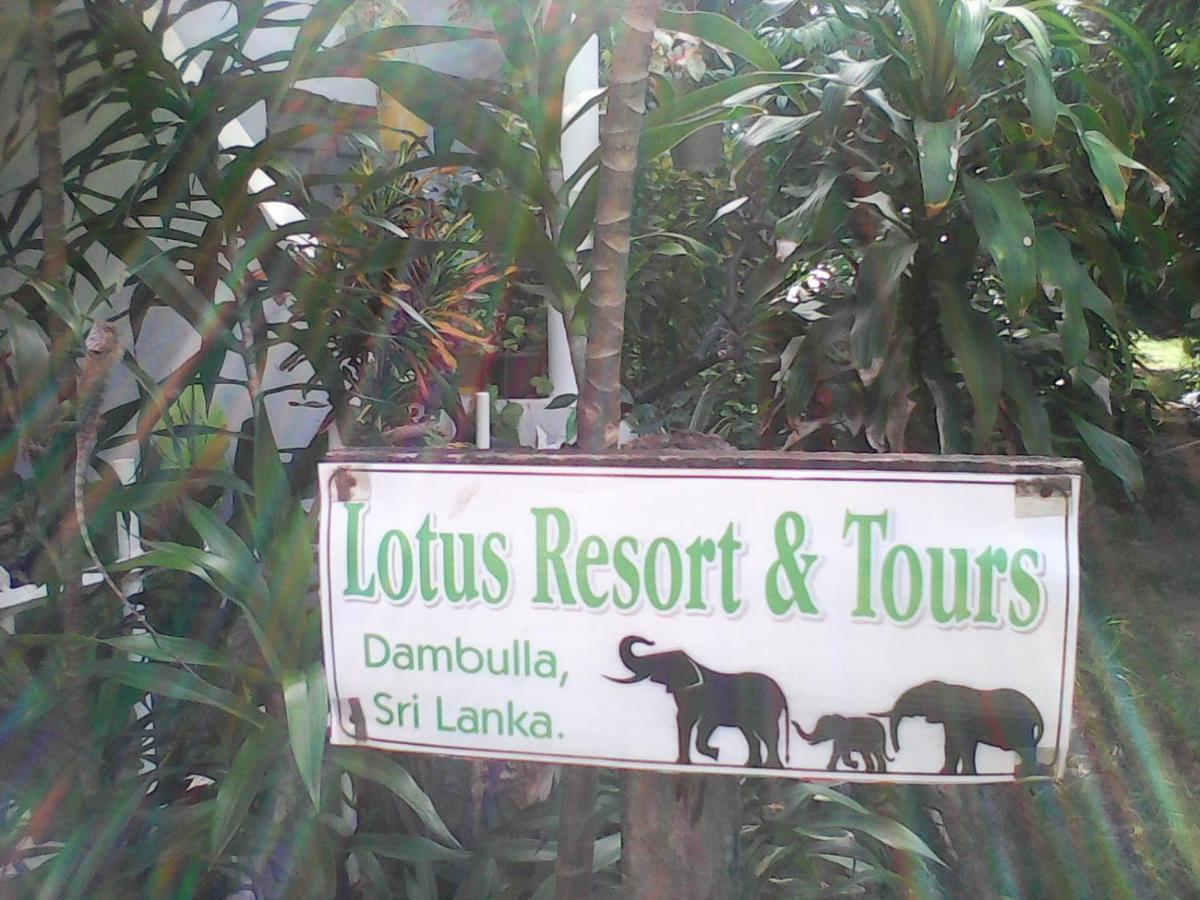 דמבולה Lotus Inn Tourist Resort מראה חיצוני תמונה